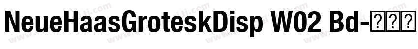 NeueHaasGroteskDisp W02 Bd字体转换